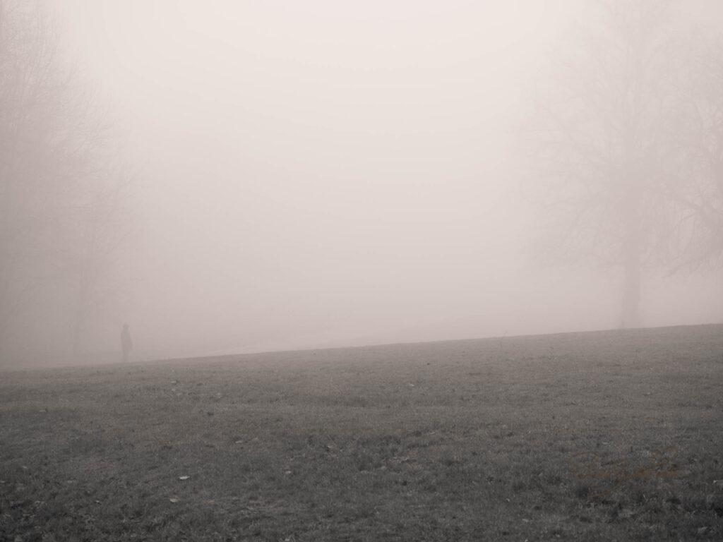 Misty world_Patis Paton