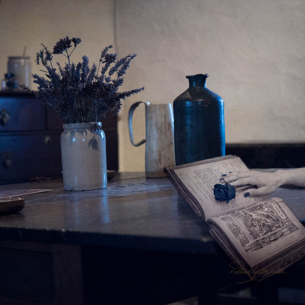 conceptual photography depicting mystery, a book and a hand with a black flower on a table