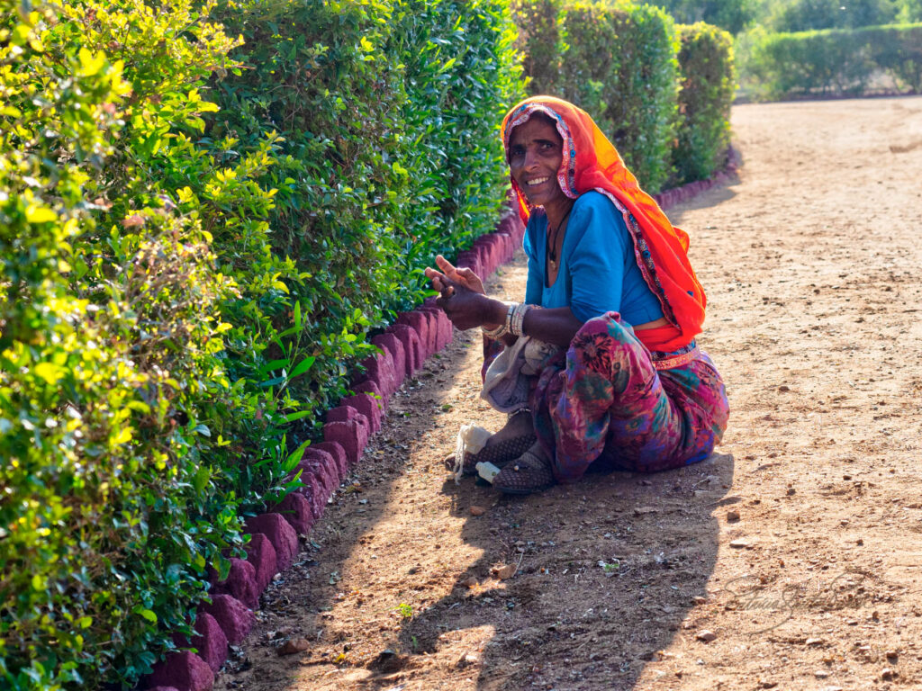 India Pushcar garden carer