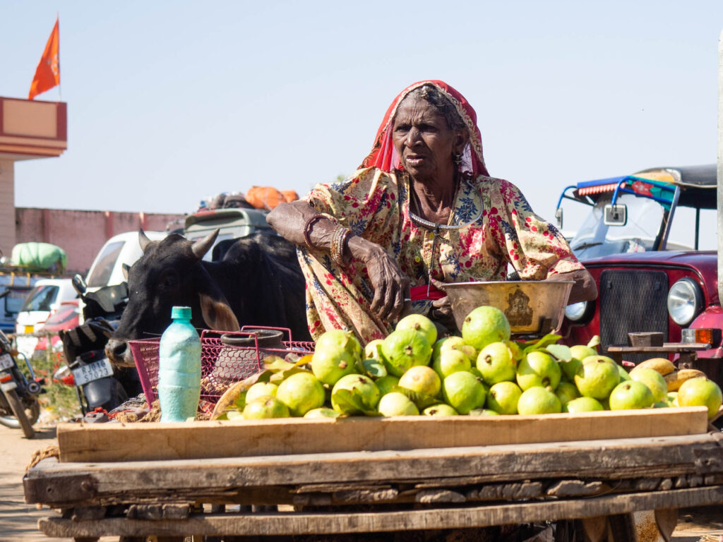 Seller in Pushcar