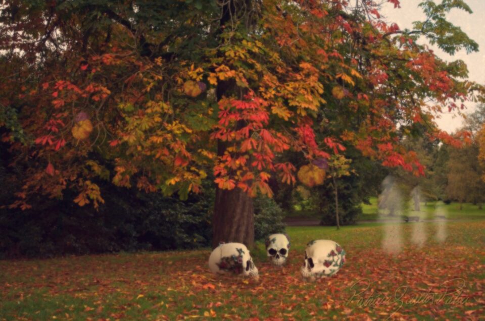 autumn scene with elements of halloween