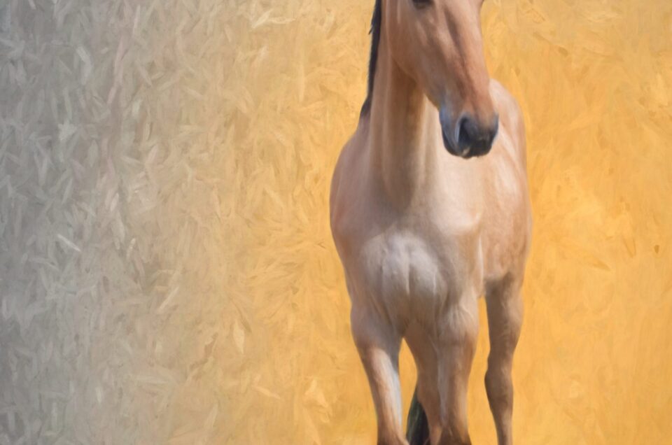 hand rendered painting of a horse