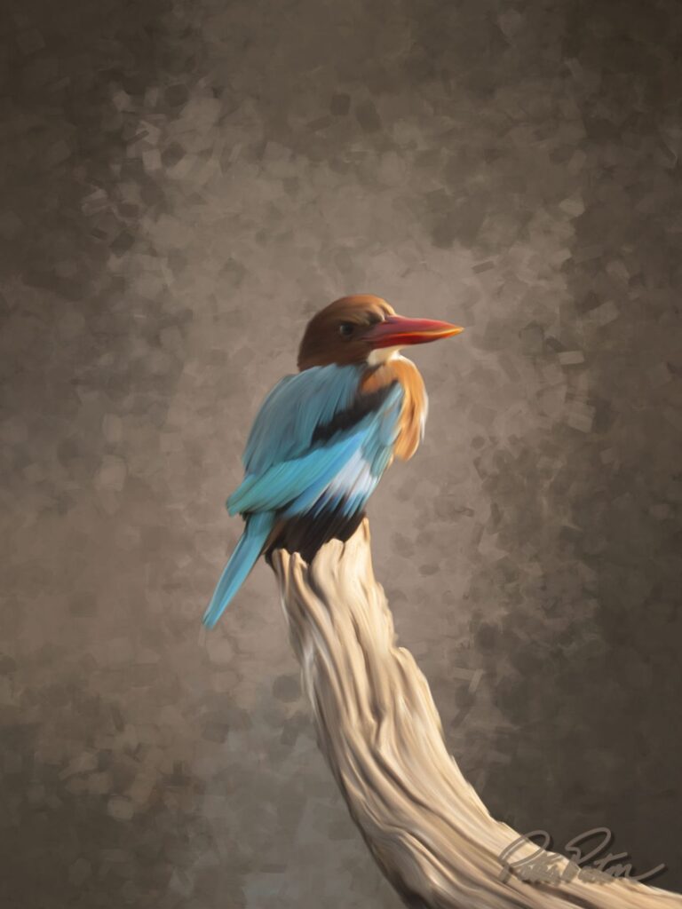 hand rendered painting of a king fisher