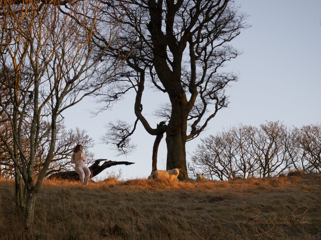 trees, wood and a person reading