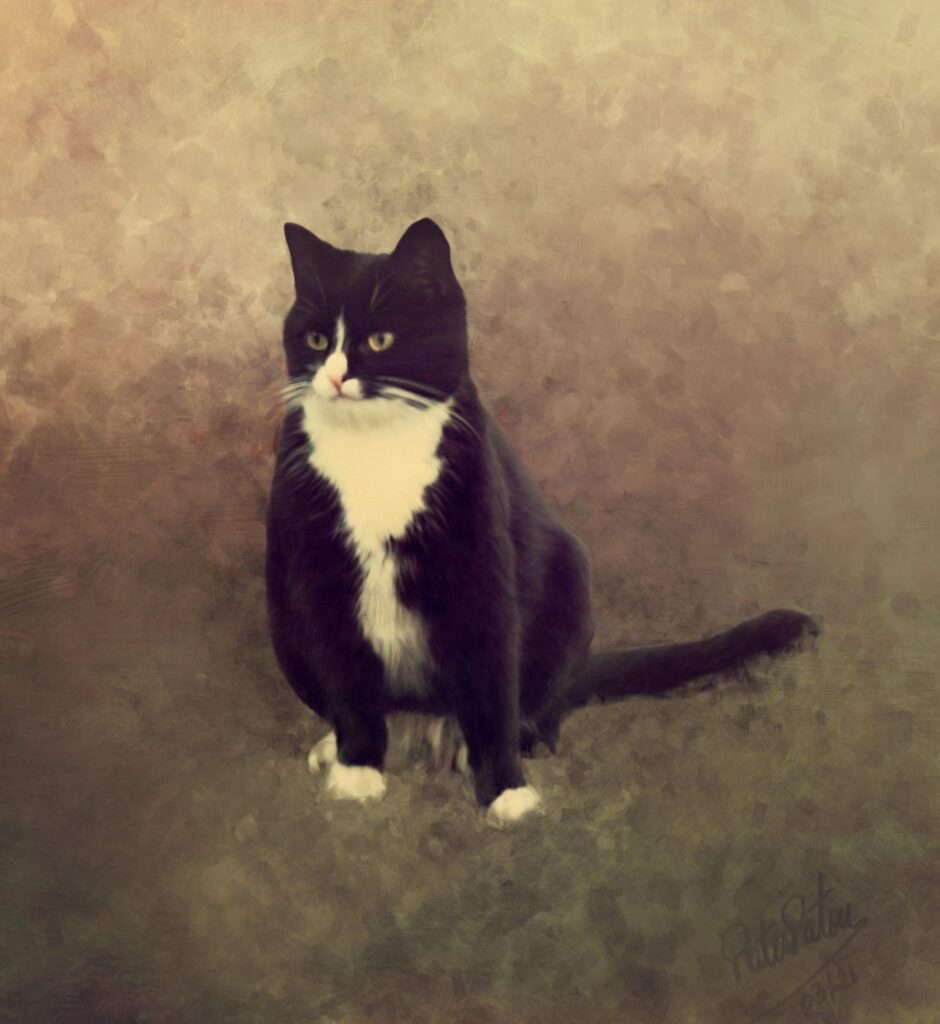 hand rendered painting of a cat