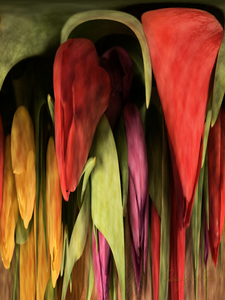 Abstract photography of a flower bouquet